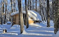 Full Day Backcountry Skiing