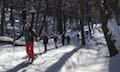 Full Day Ski Bariloche